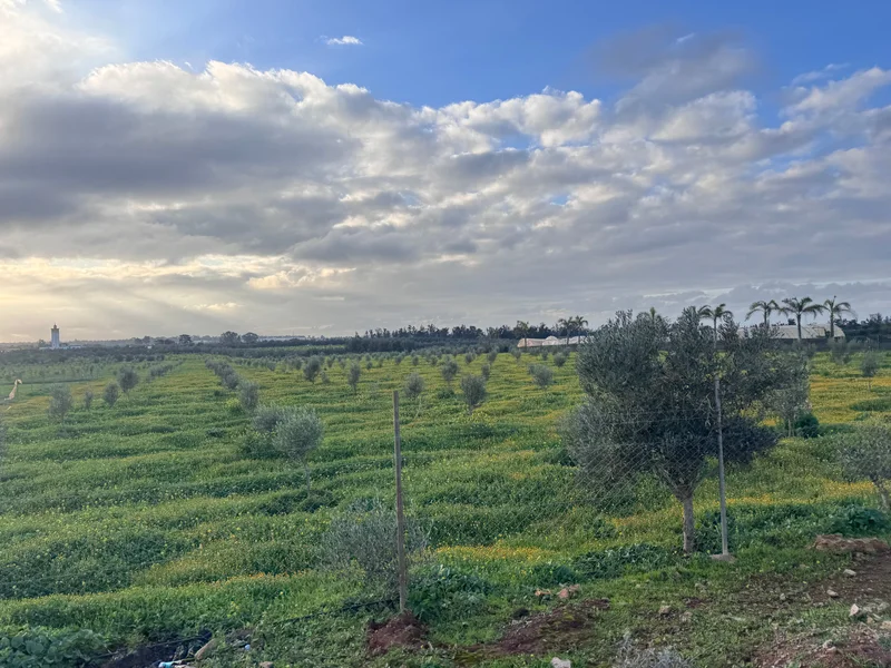 Morocco