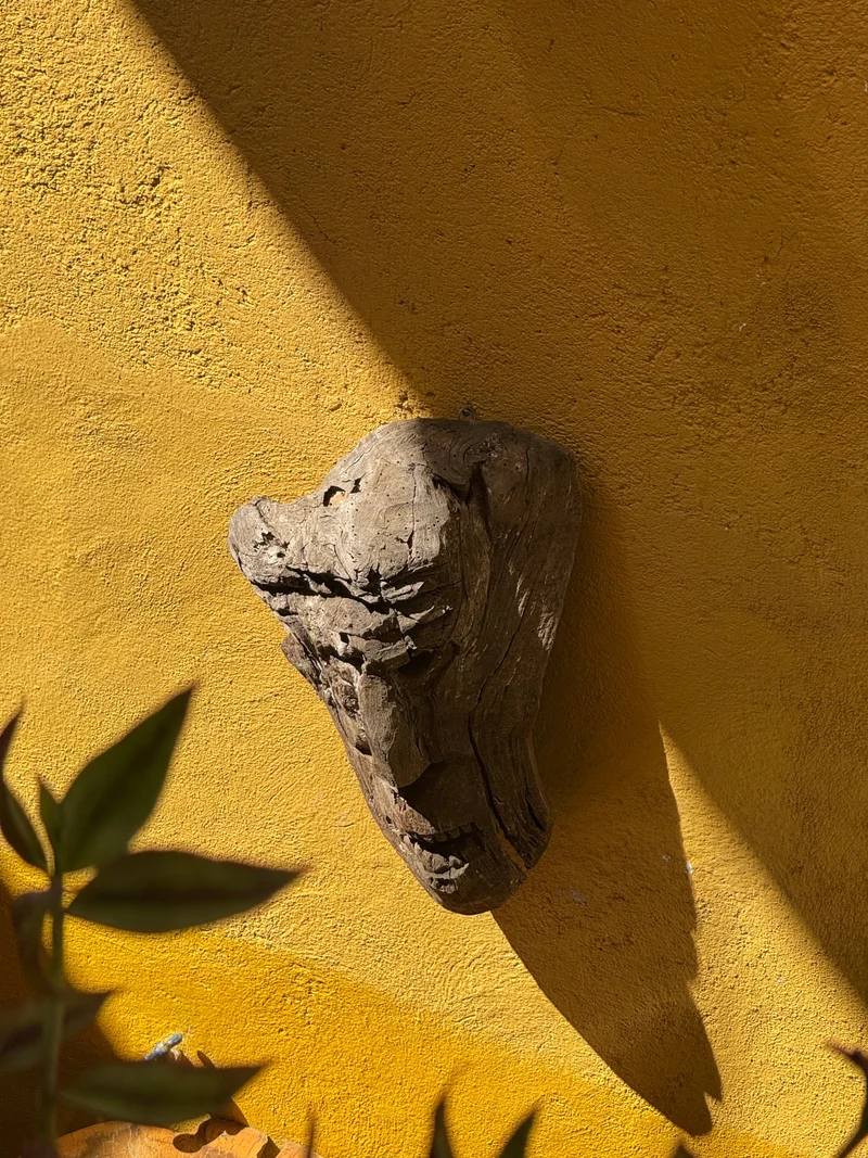 Oaxaca