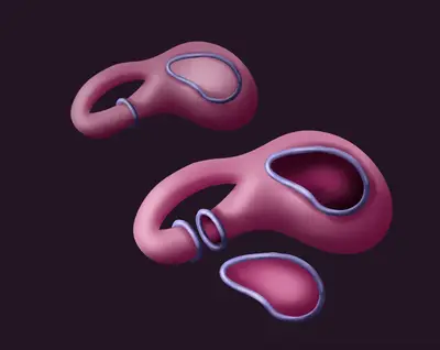 Curves on a Genus-2 Surface