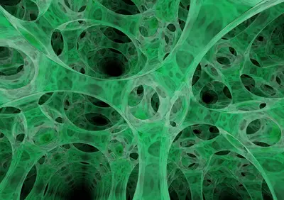 Euclidean Glass Lattice