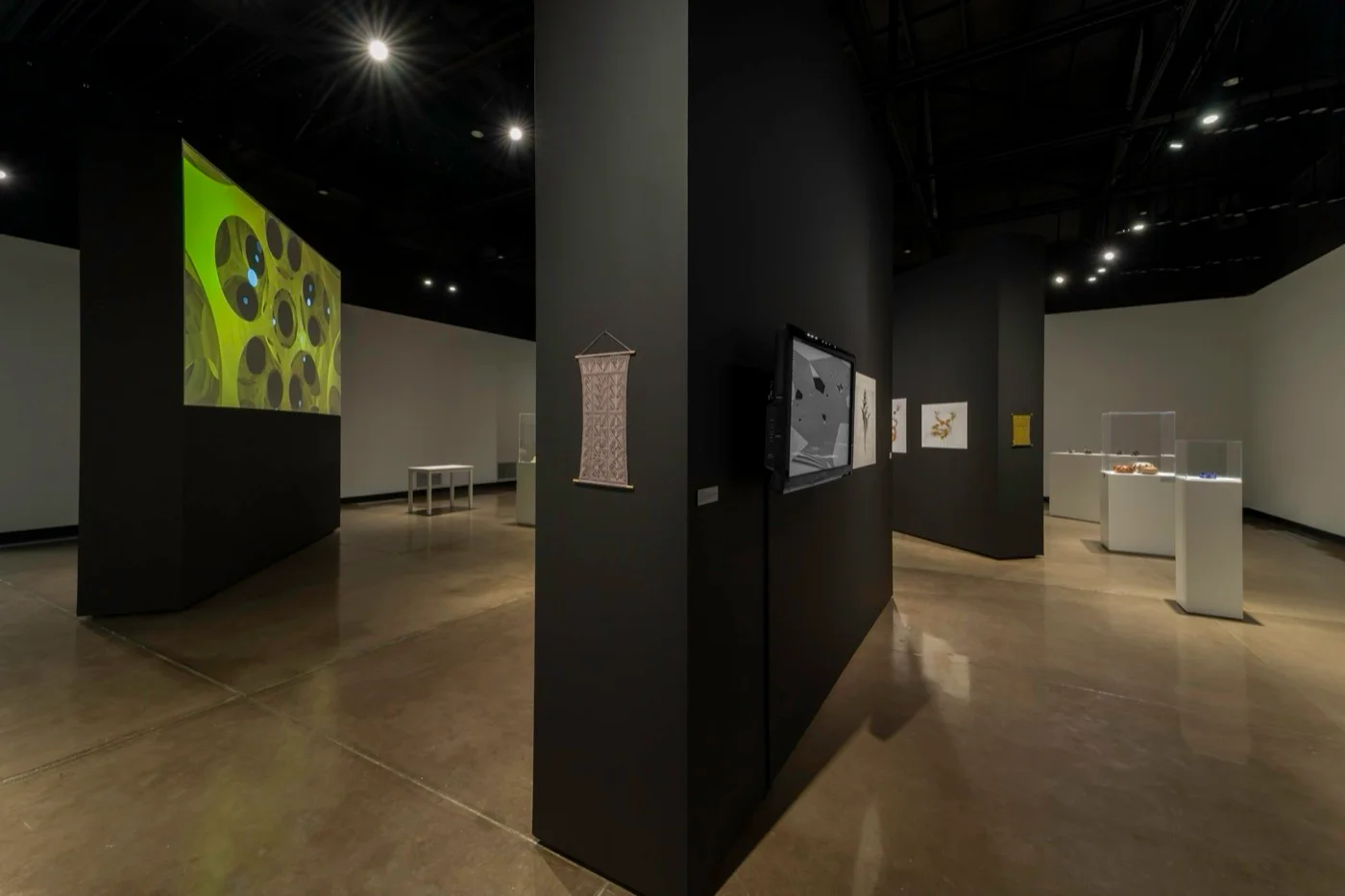The main gallery, with the projection at left among work by the other artists in the show.