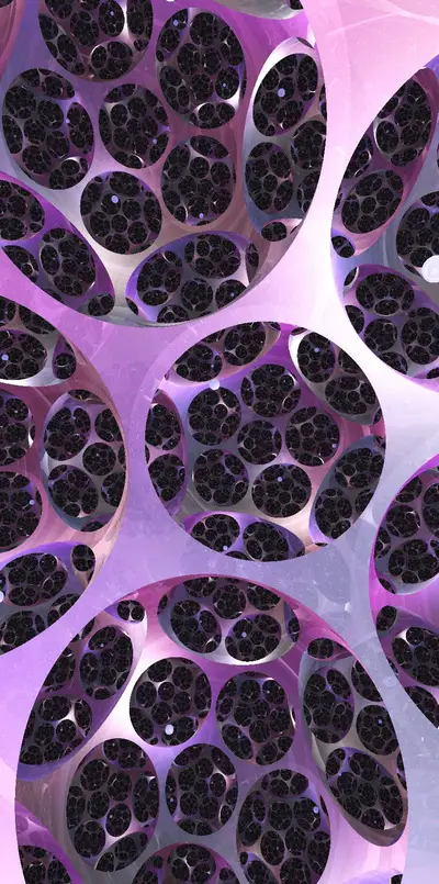 Inside Hyperbolic Space (2020)