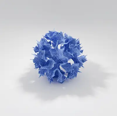 Hyperbolic Disk in Euclidean Space