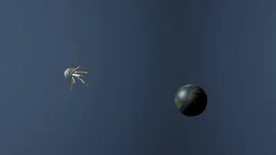 Nil Geodesics over Earth