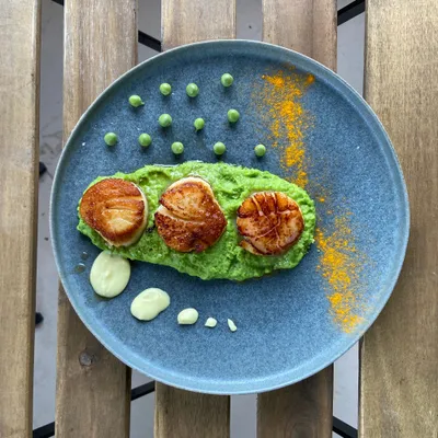 Scallops And Pea Puree