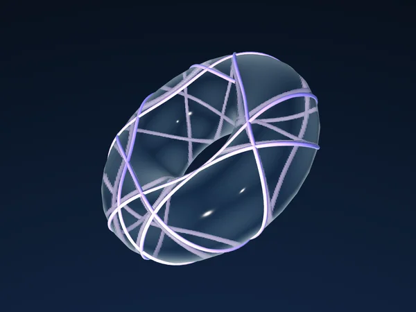 Torus Geodesics