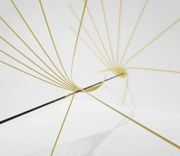 black hole geodesic project