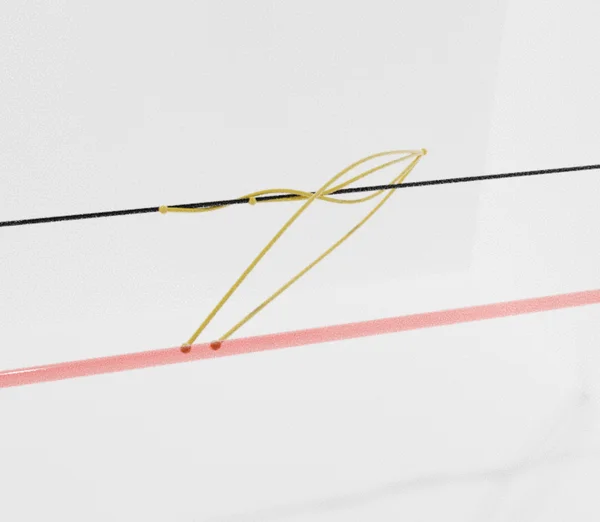 black hole geodesic vision