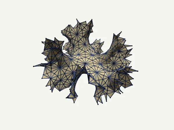 hyerbolic embedding flows