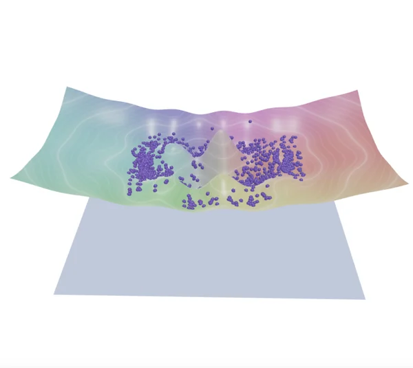 Gravity Surface Grid