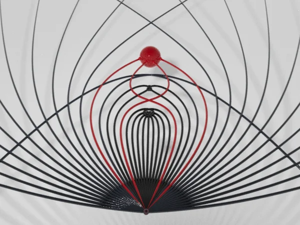 black hole vision binary