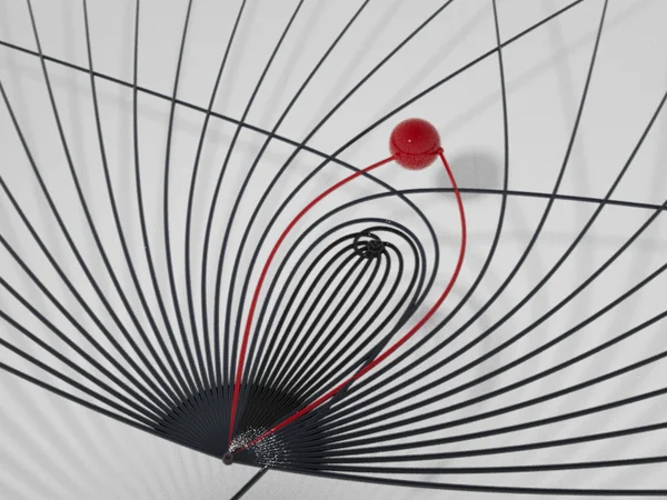black hole vision