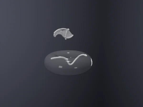 Double Pendulum