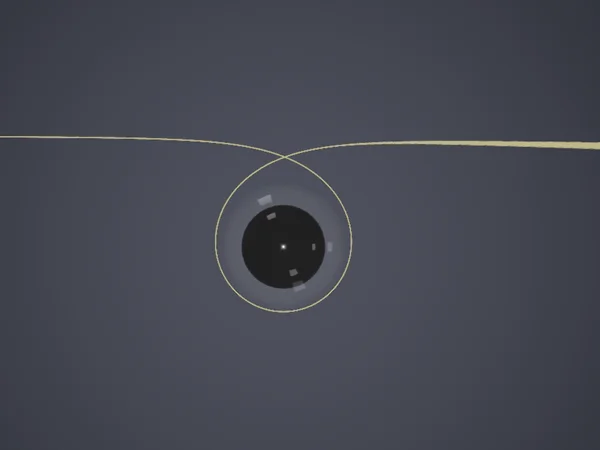 black hole loop