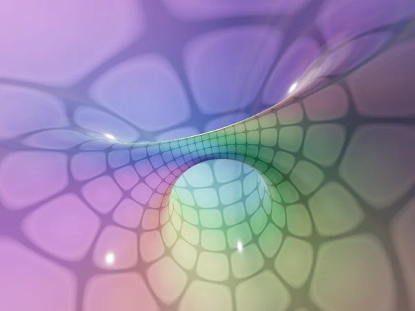 Square Torus