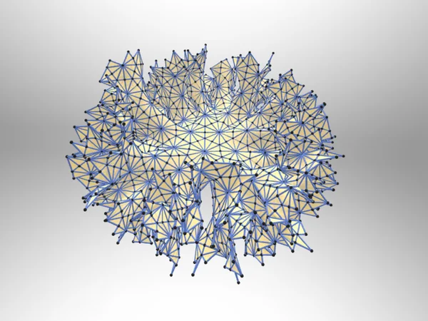 hyperbolic disk embedding gradient descent