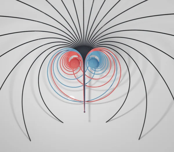 black hole binary geodesics