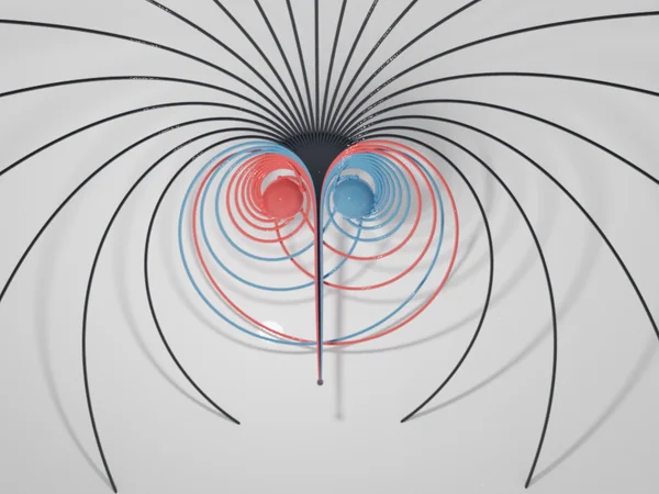 black hole binary geodesics