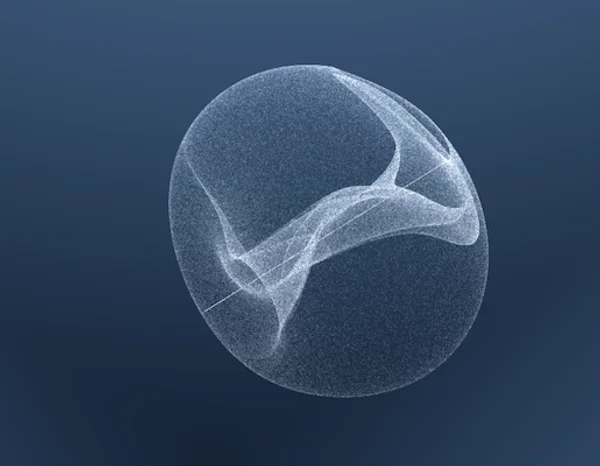 Dynamics & Strange Attractors