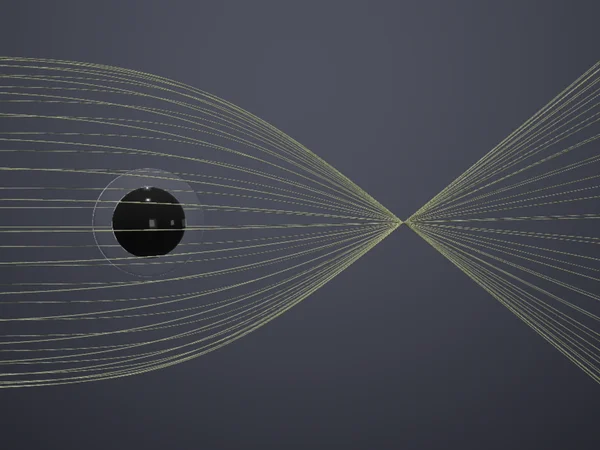 black hole lens