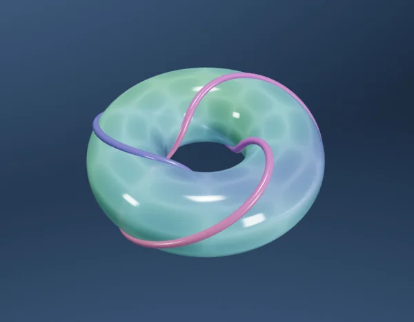 The Fundamental Group of the Torus