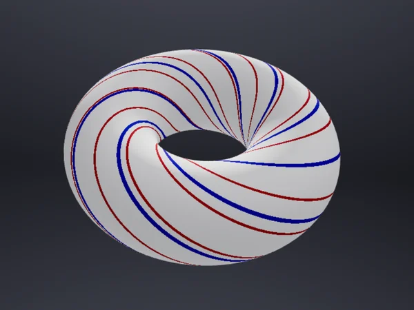 Torus Mcg