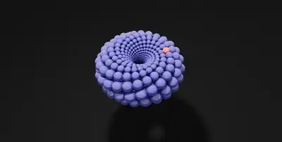 Curves on the Square Torus