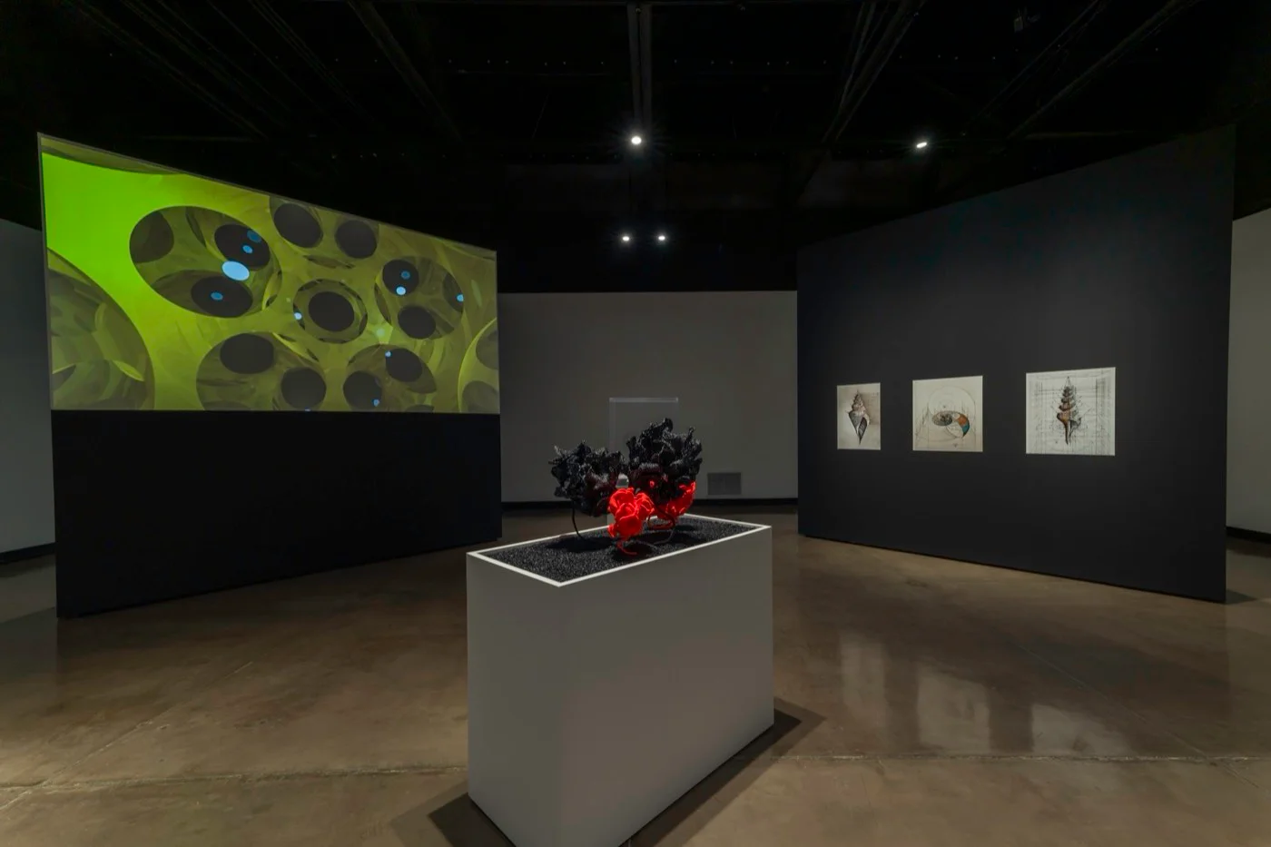 Thurston Geometries running as a large-screen projection in the gallery.